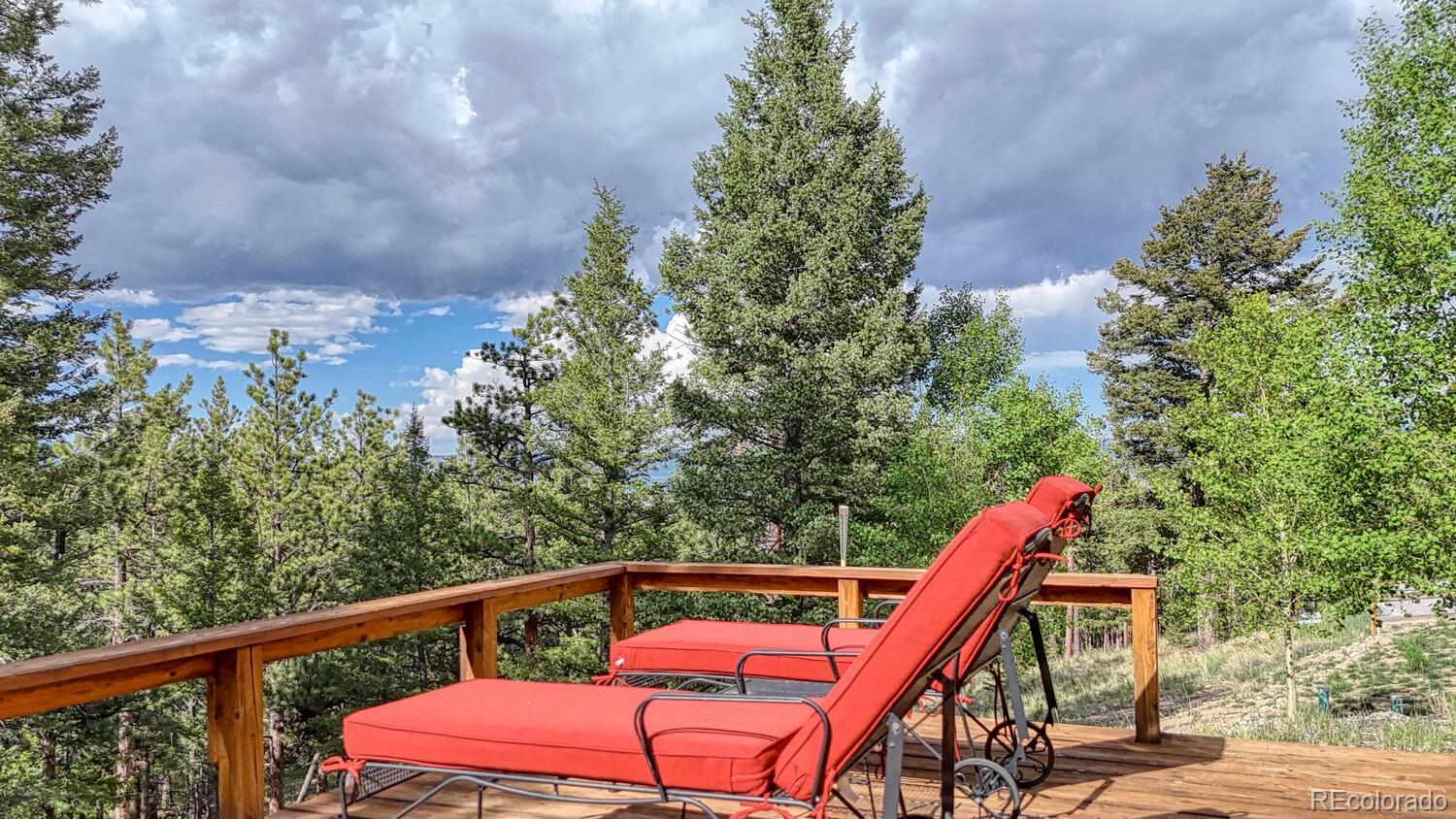 MLS Image #35 for 16495  mt princeton road,buena vista, Colorado