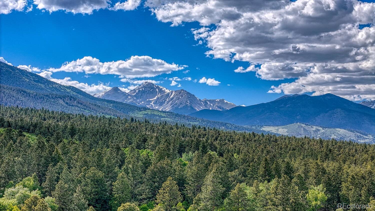 MLS Image #4 for 16495  mt princeton road,buena vista, Colorado