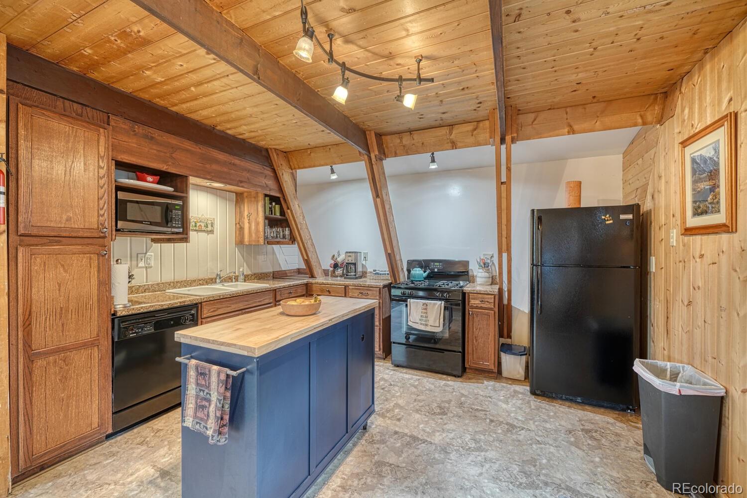 MLS Image #5 for 16495  mt princeton road,buena vista, Colorado