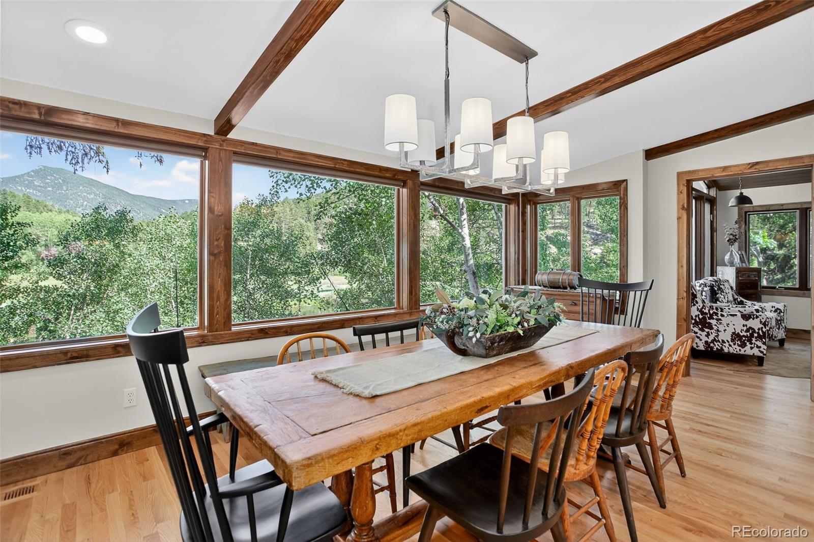 MLS Image #17 for 4241 s meadow brook lane,evergreen, Colorado