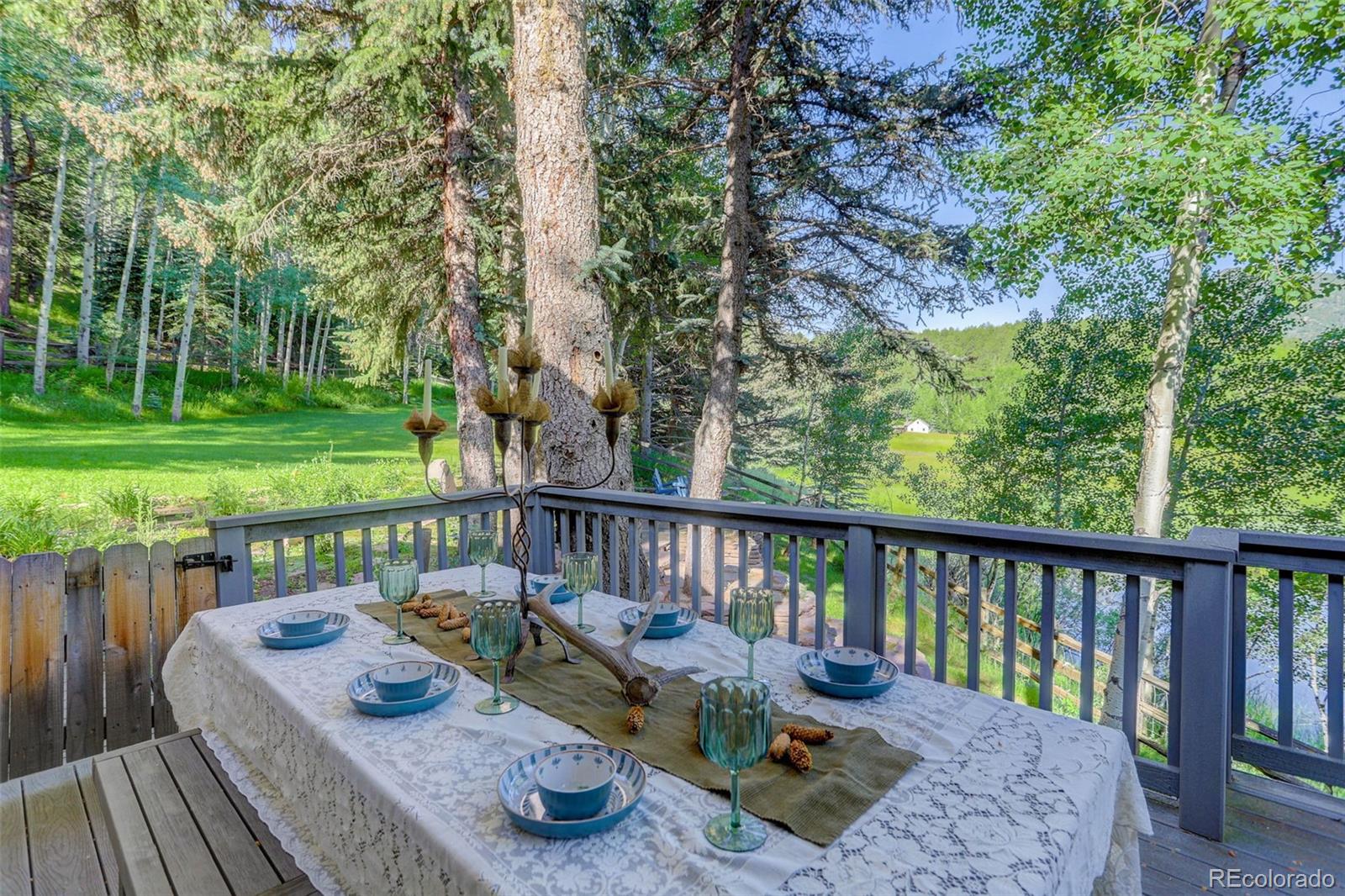 MLS Image #18 for 4241 s meadow brook lane,evergreen, Colorado