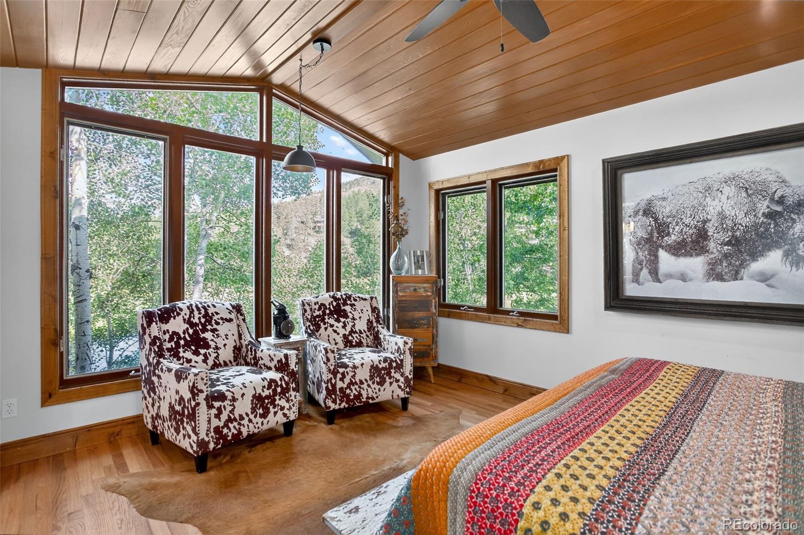 MLS Image #20 for 4241 s meadow brook lane,evergreen, Colorado