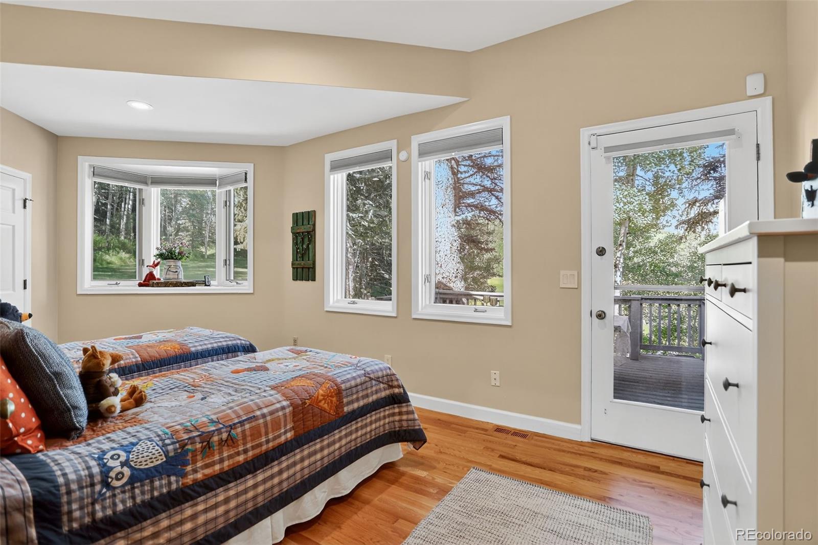 MLS Image #24 for 4241 s meadow brook lane,evergreen, Colorado