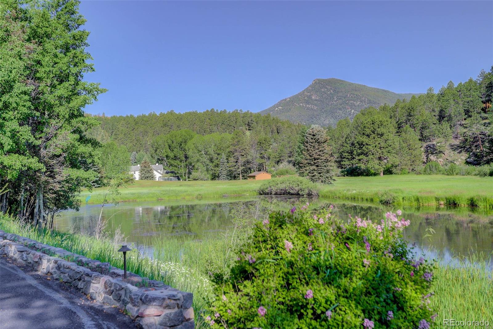 MLS Image #42 for 4241 s meadow brook lane,evergreen, Colorado