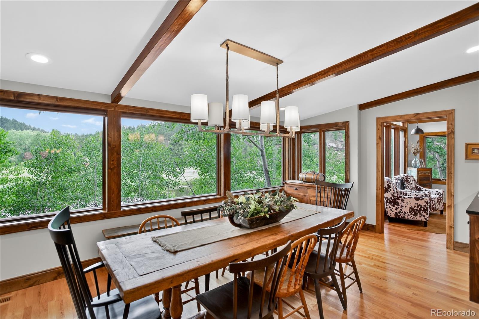 MLS Image #5 for 4241 s meadow brook lane,evergreen, Colorado