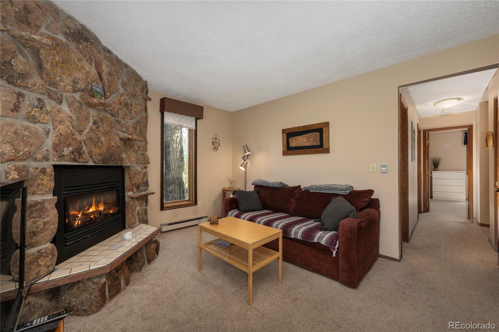 MLS Image #8 for 300  sterling way,fraser, Colorado