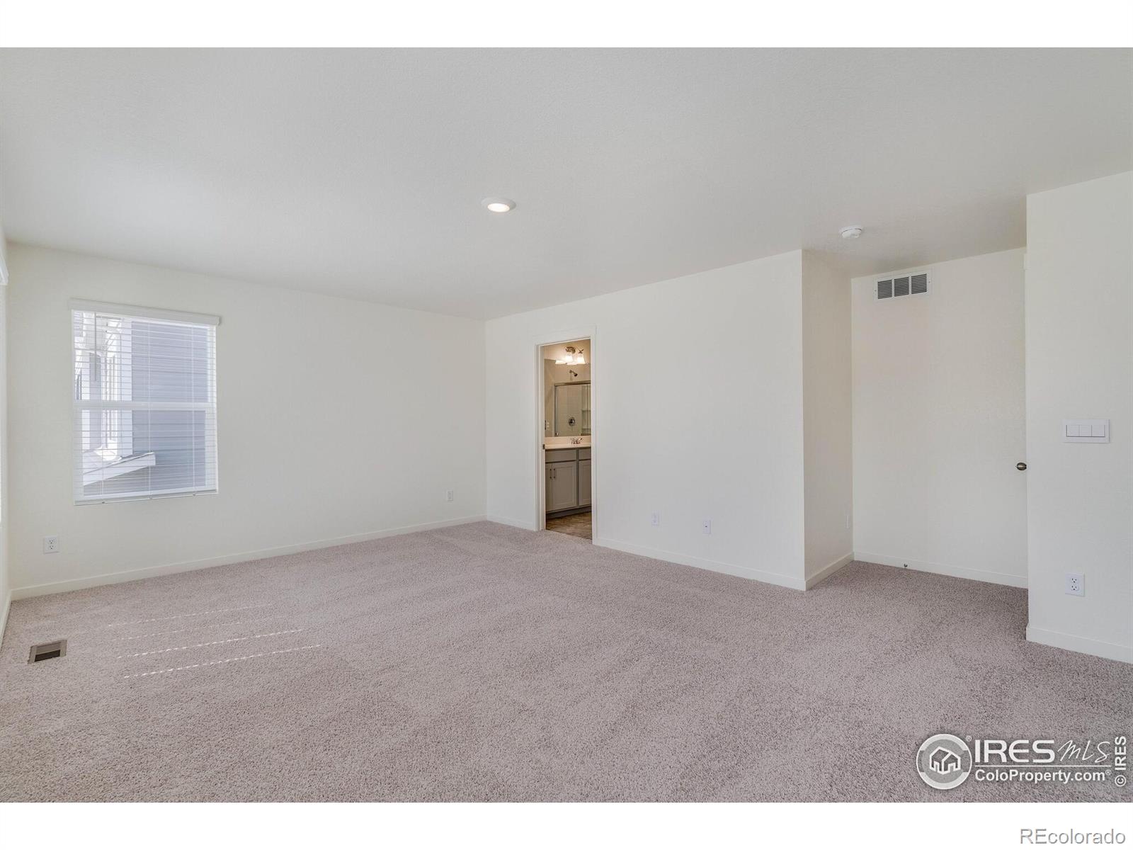 MLS Image #20 for 250  chardon avenue,brighton, Colorado