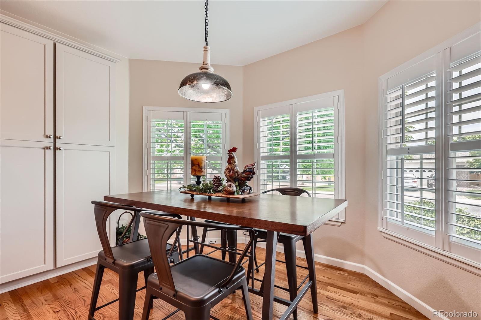 MLS Image #9 for 21107  hawthorne lane,parker, Colorado