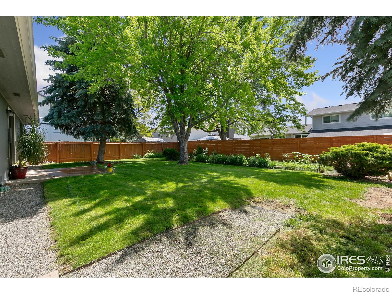 MLS Image #31 for 1069  pinyon drive,windsor, Colorado