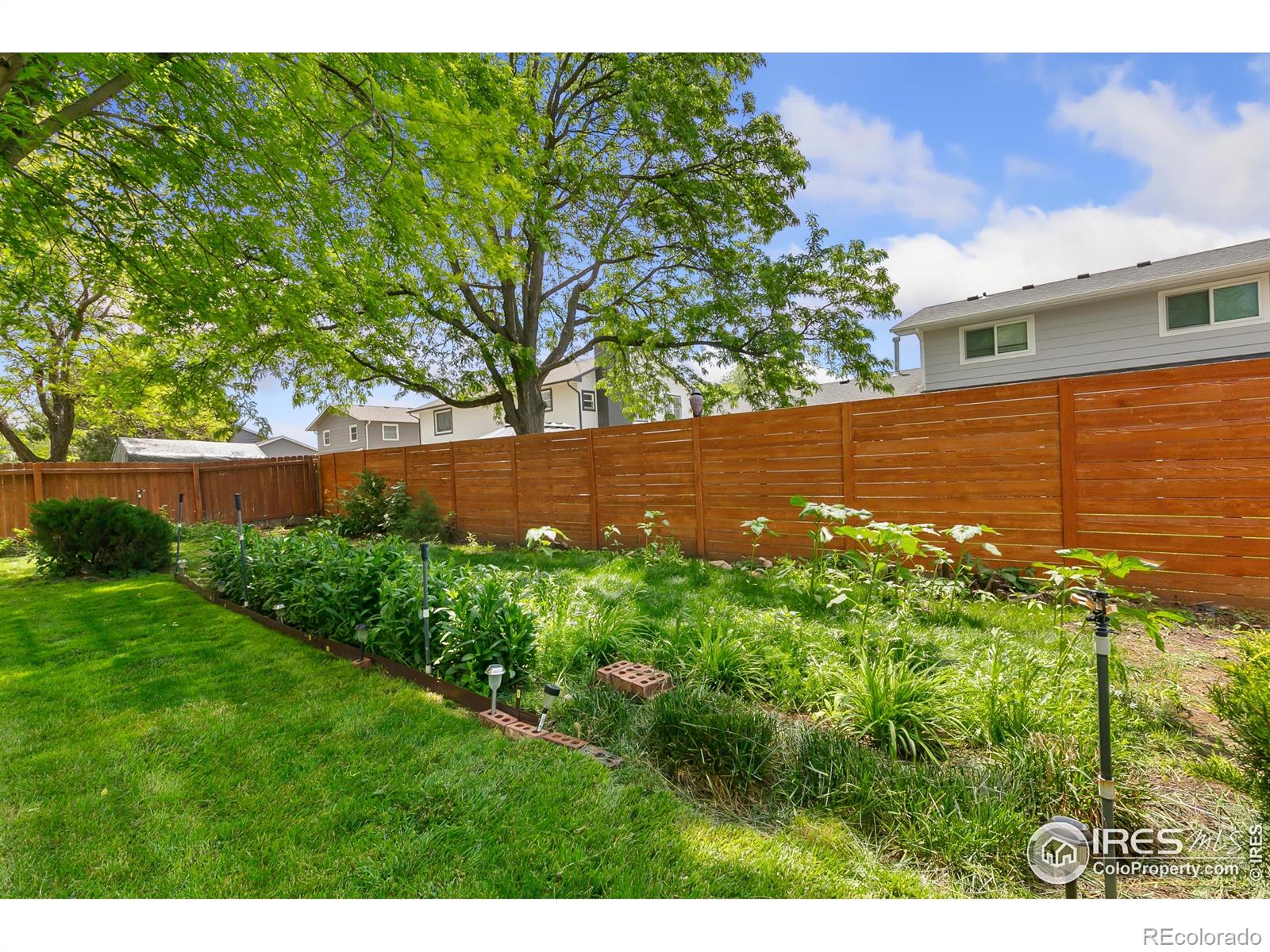 MLS Image #33 for 1069  pinyon drive,windsor, Colorado