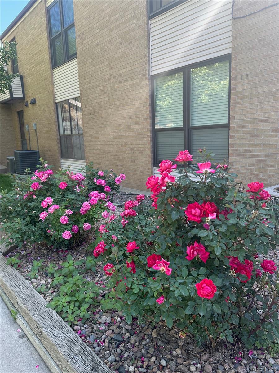 MLS Image #18 for 3550 s harlan street,denver, Colorado