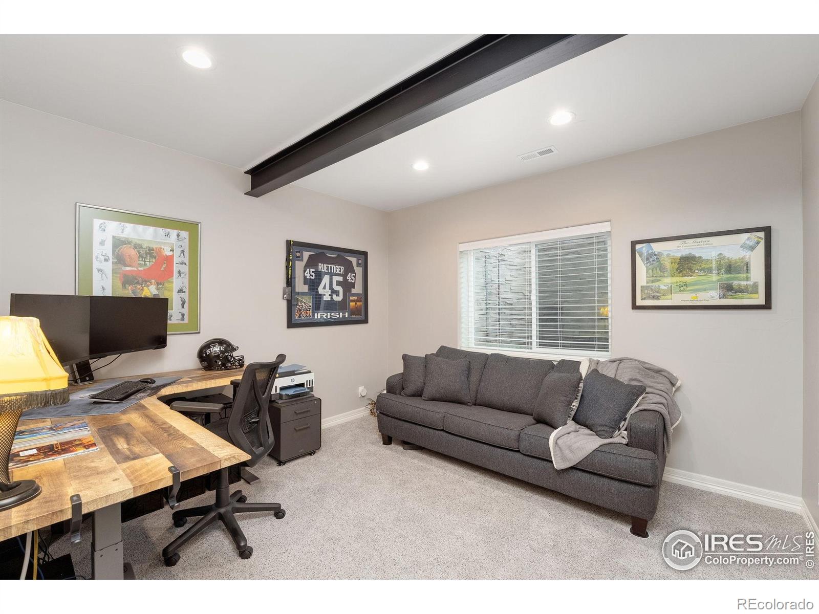 MLS Image #26 for 5966  sunny crest drive,timnath, Colorado