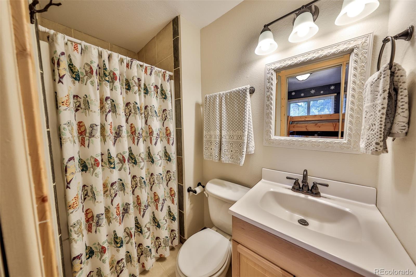 MLS Image #12 for 446  hi country drive,winter park, Colorado