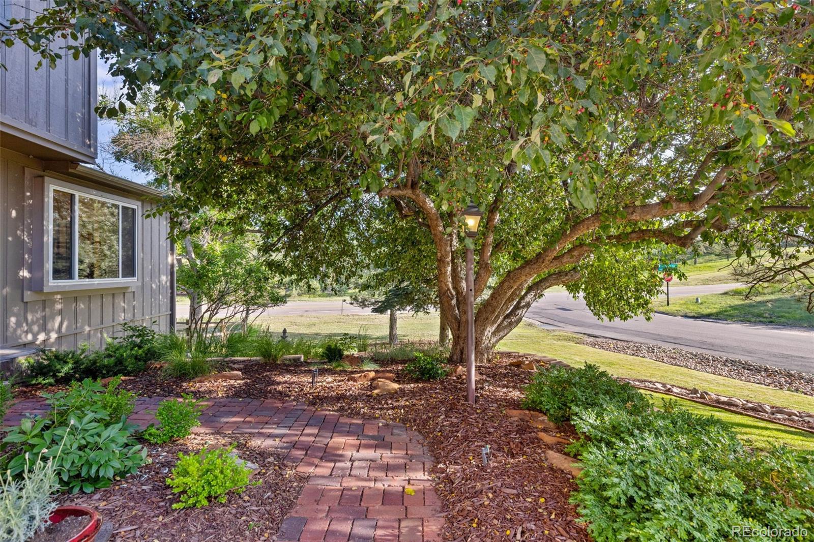 MLS Image #3 for 5506  irish pat murphy drive,parker, Colorado