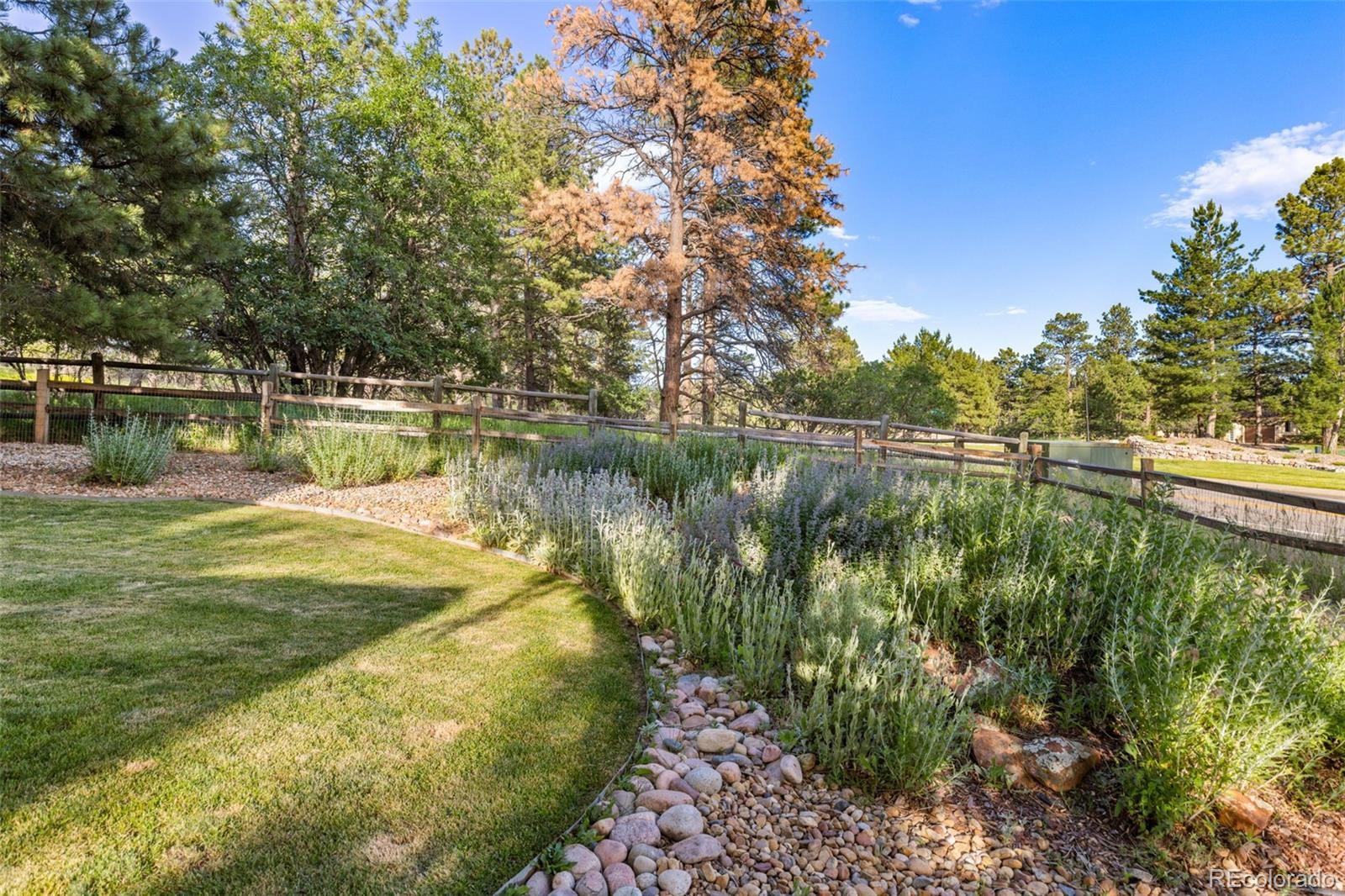 MLS Image #38 for 5506  irish pat murphy drive,parker, Colorado