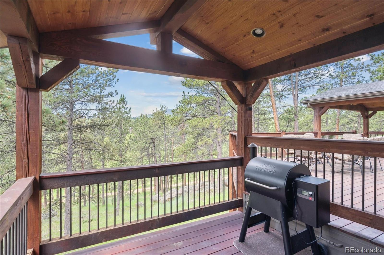 MLS Image #36 for 2023  mammoth court,evergreen, Colorado