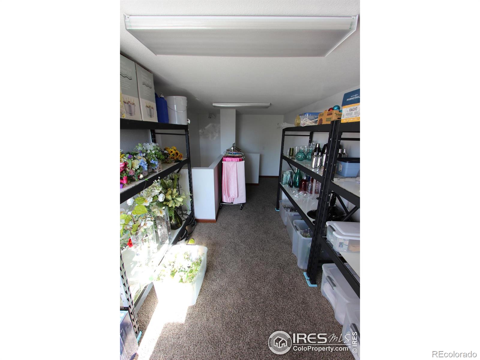 MLS Image #11 for 220  12th street,loveland, Colorado