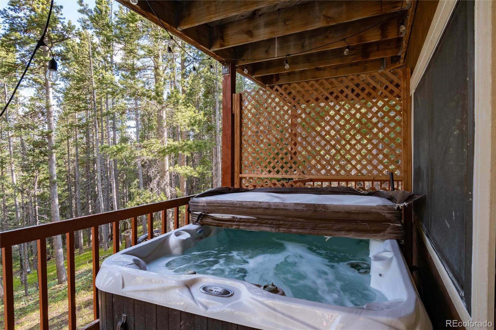 MLS Image #30 for 302  texas drive,idaho springs, Colorado