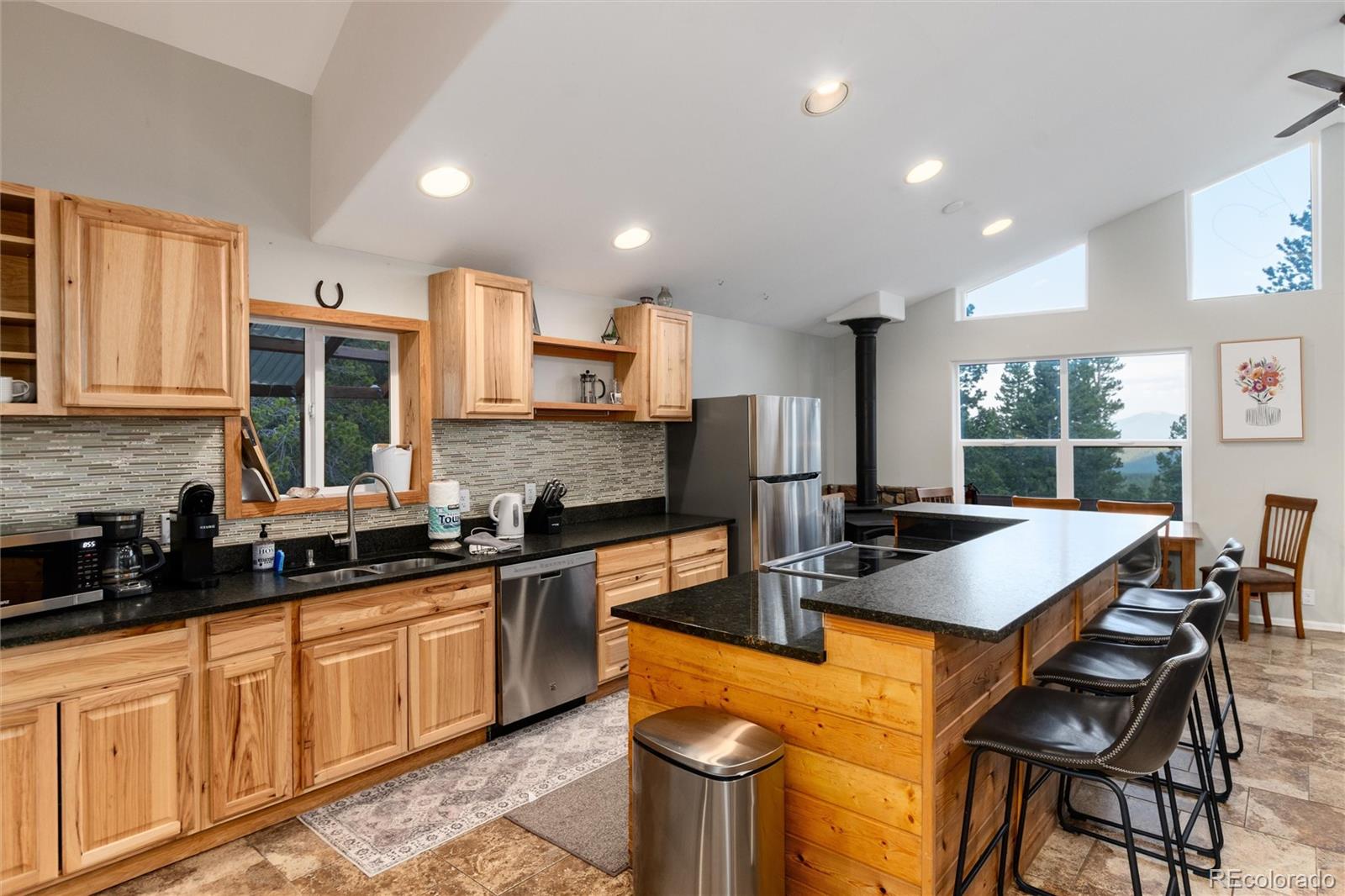 MLS Image #6 for 302  texas drive,idaho springs, Colorado