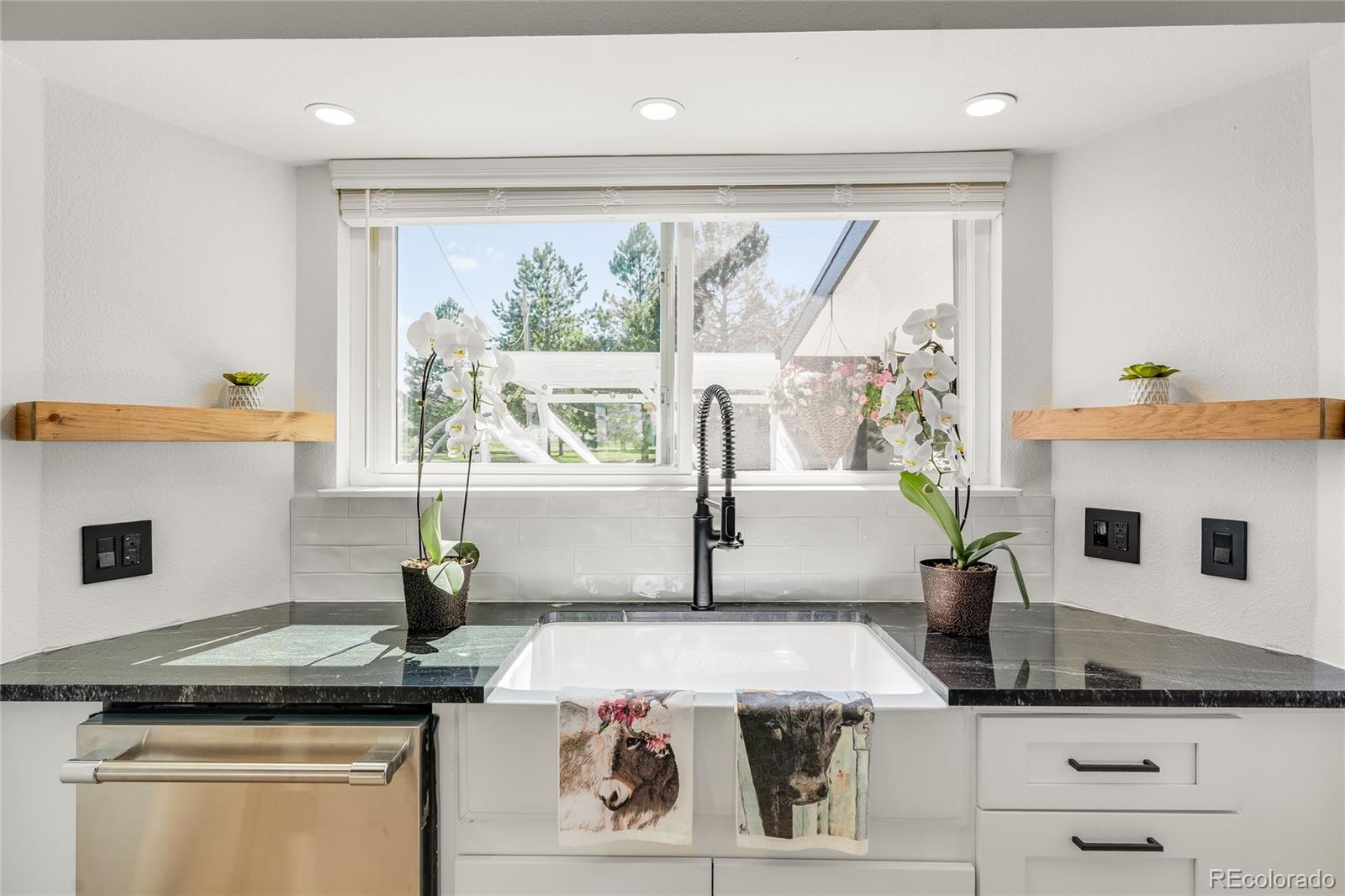 MLS Image #15 for 9232 n surrey drive,castle rock, Colorado