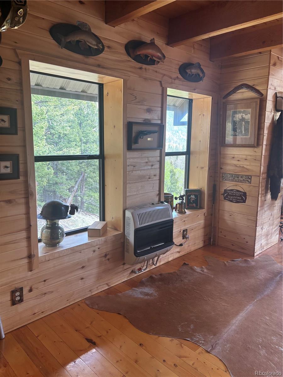 MLS Image #10 for 1113  spring street,jasper, Colorado