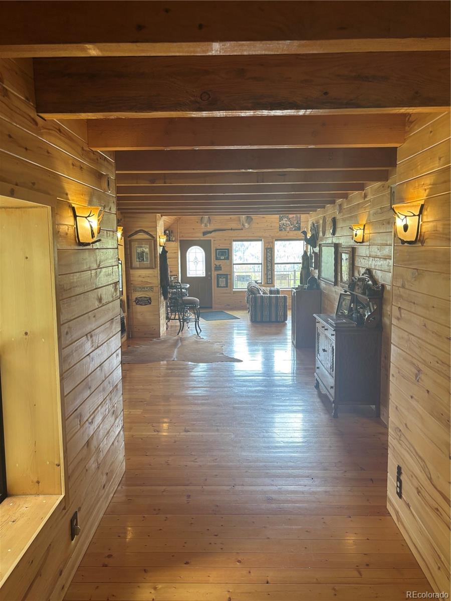 MLS Image #11 for 1113  spring street,jasper, Colorado