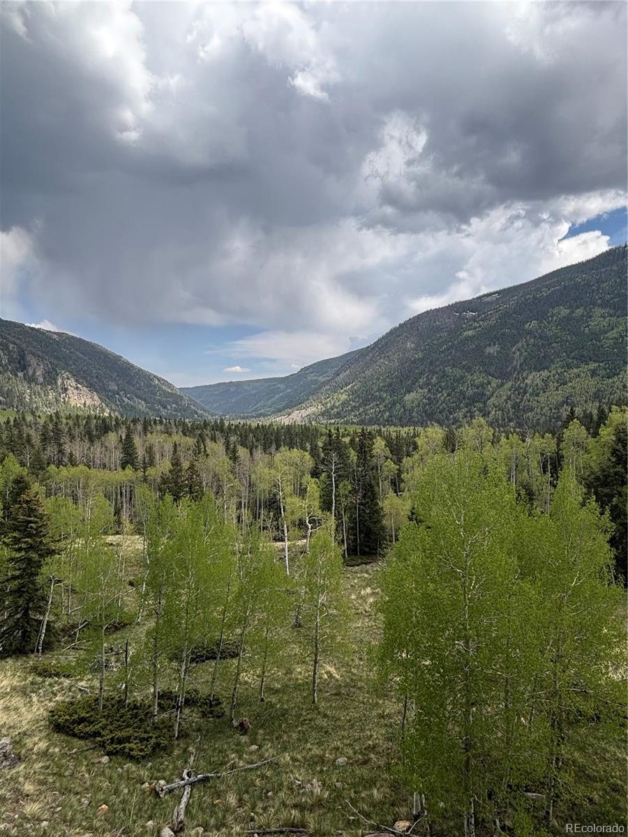MLS Image #12 for 1113  spring street,jasper, Colorado