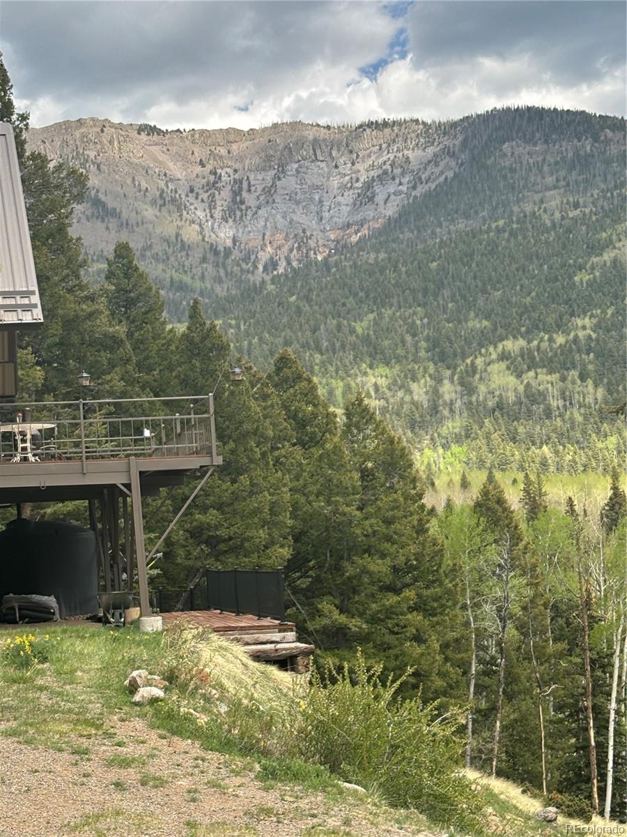 MLS Image #13 for 1113  spring street,jasper, Colorado