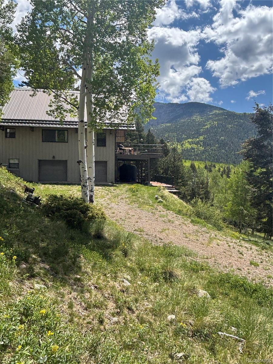 MLS Image #14 for 1113  spring street,jasper, Colorado