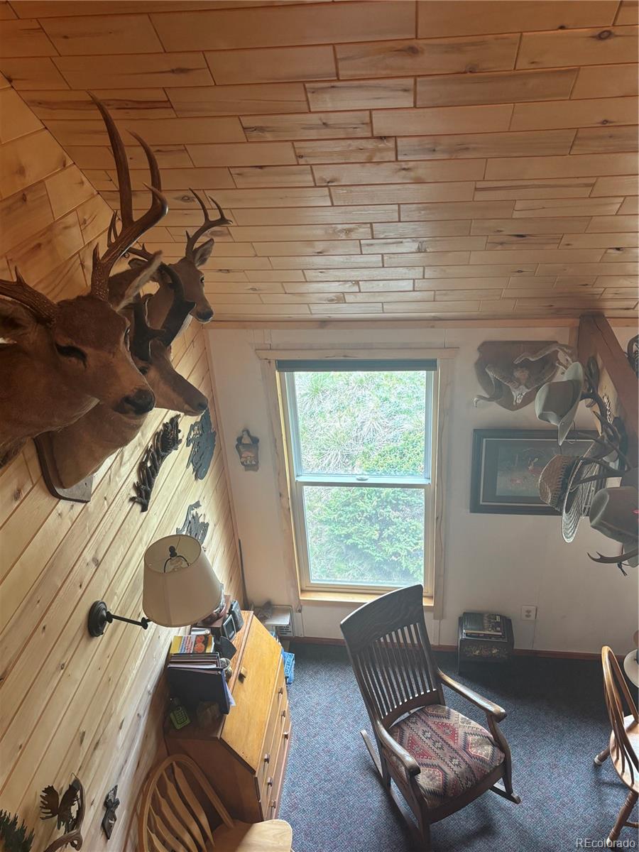 MLS Image #15 for 1113  spring street,jasper, Colorado