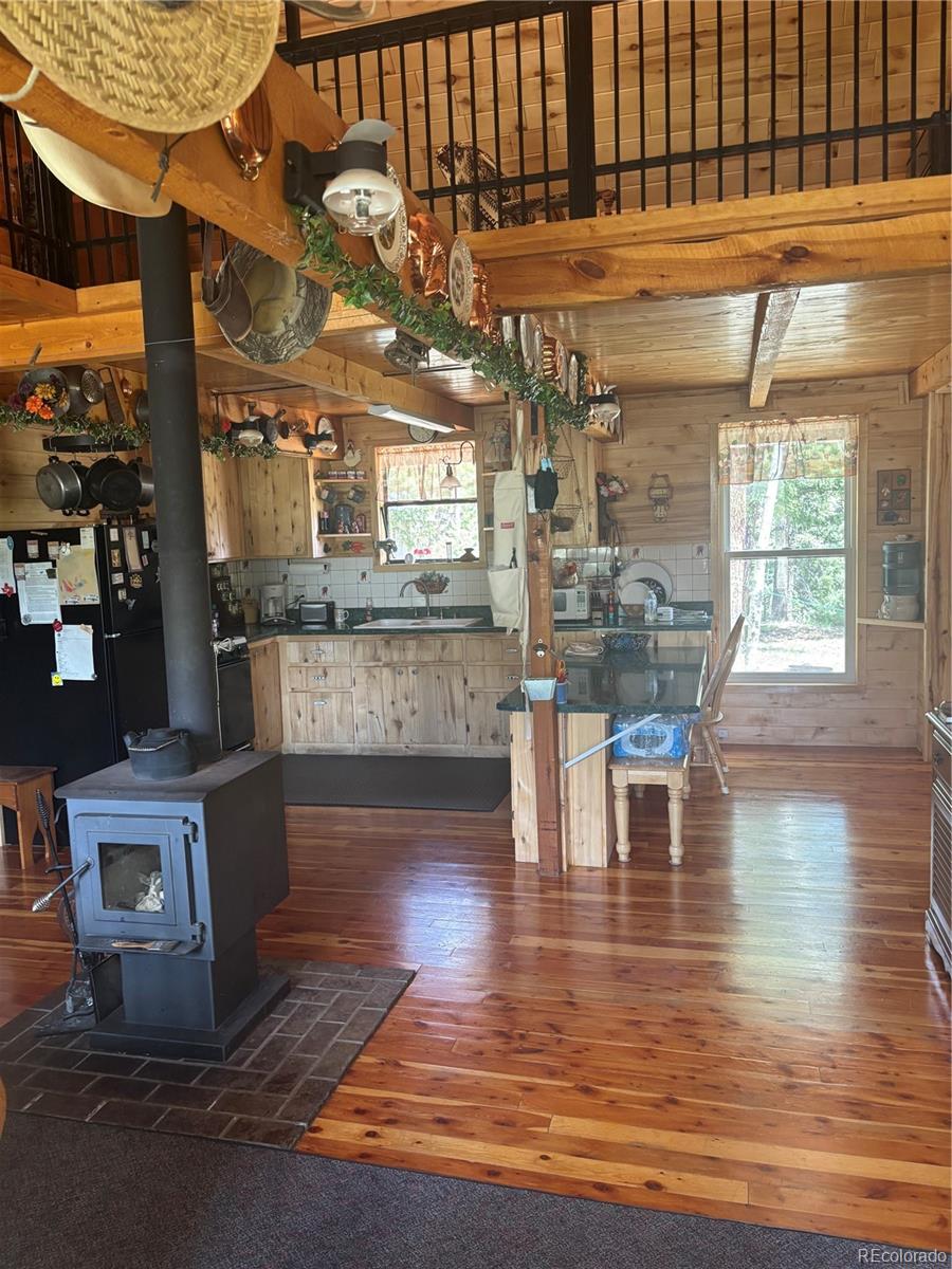 MLS Image #16 for 1113  spring street,jasper, Colorado