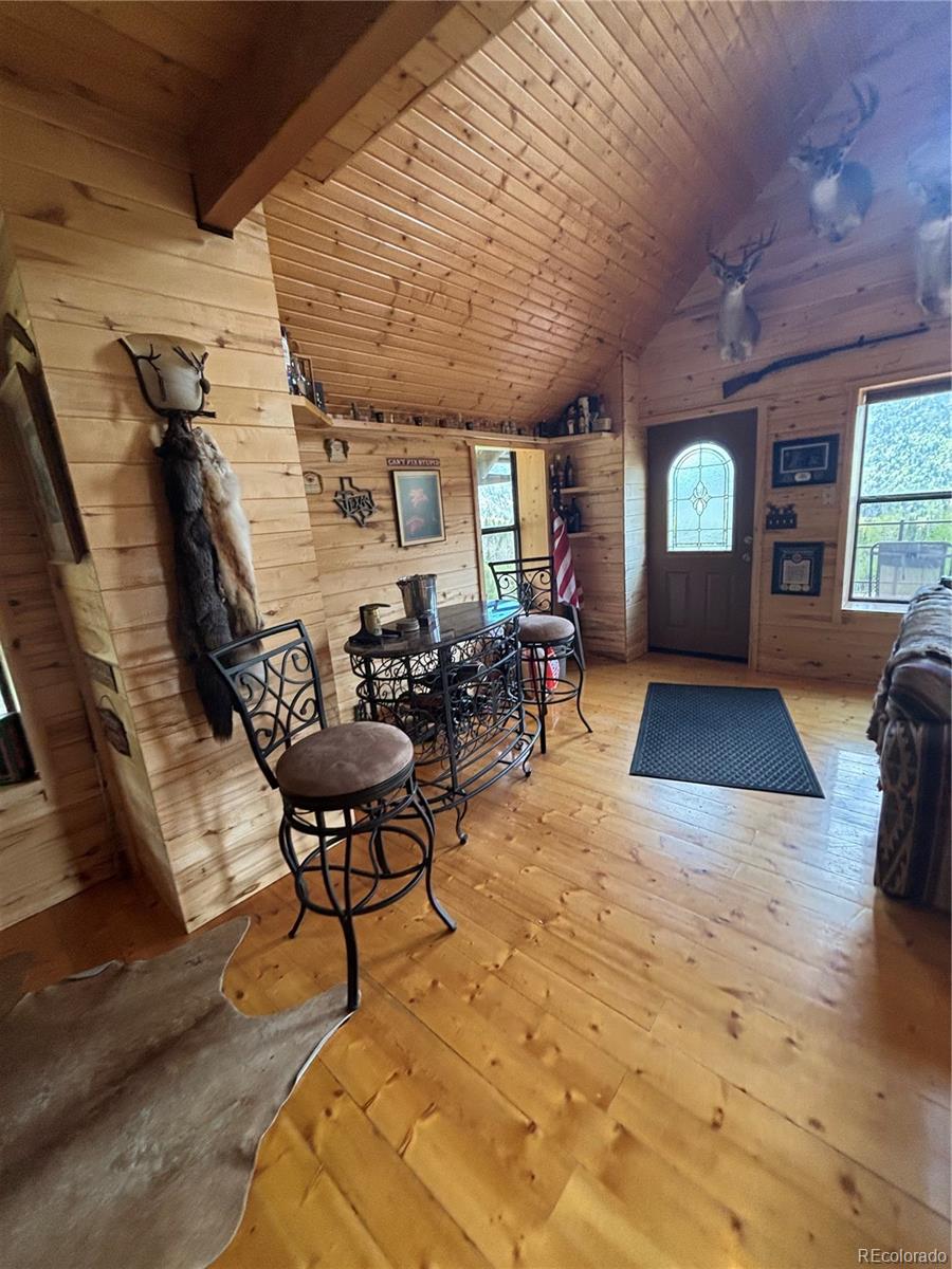 MLS Image #17 for 1113  spring street,jasper, Colorado