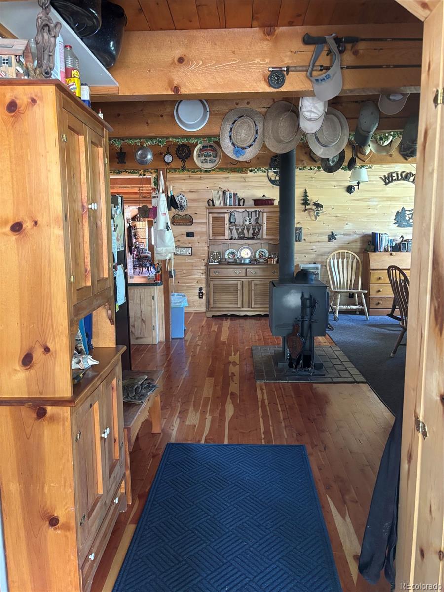 MLS Image #18 for 1113  spring street,jasper, Colorado