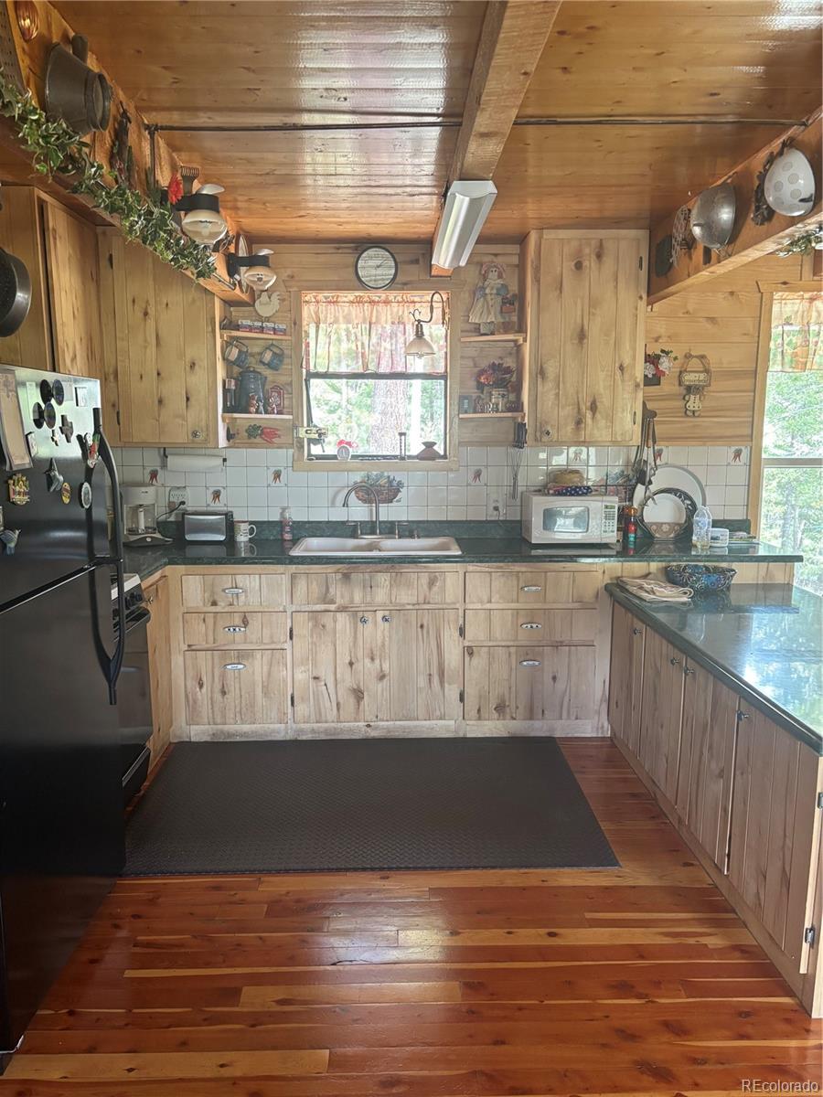 MLS Image #19 for 1113  spring street,jasper, Colorado