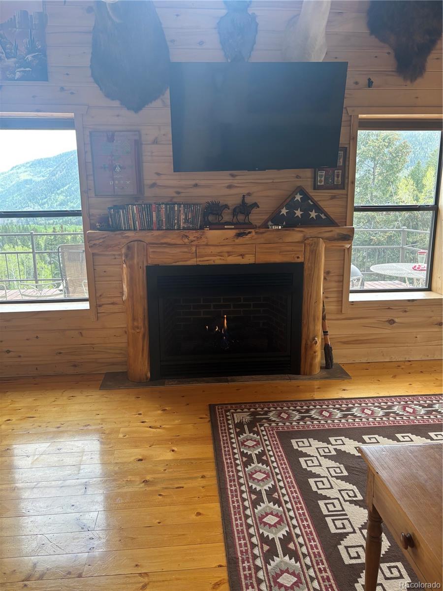 MLS Image #21 for 1113  spring street,jasper, Colorado