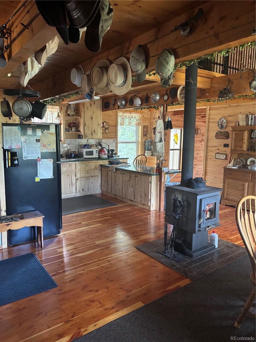 MLS Image #22 for 1113  spring street,jasper, Colorado