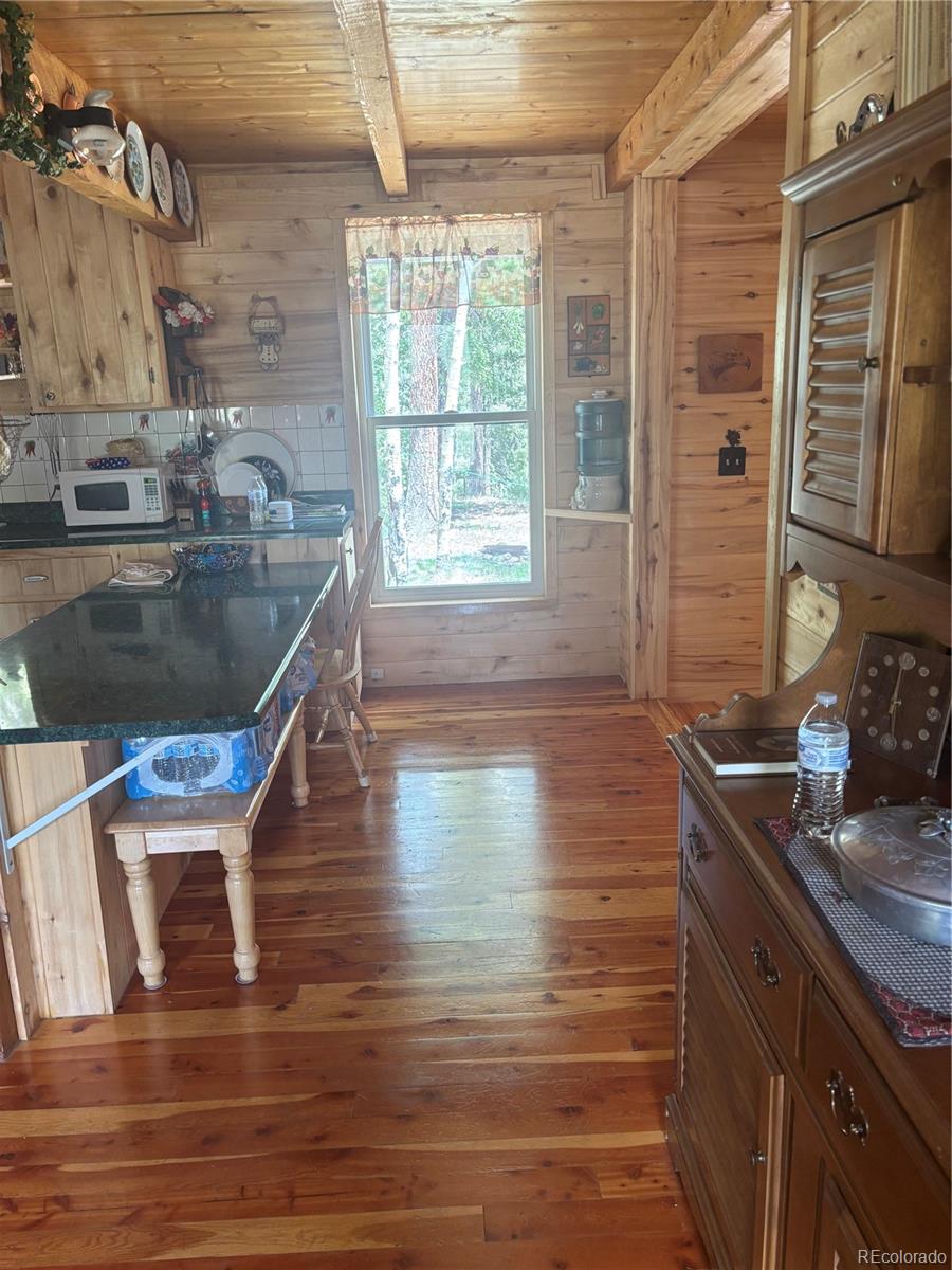 MLS Image #23 for 1113  spring street,jasper, Colorado