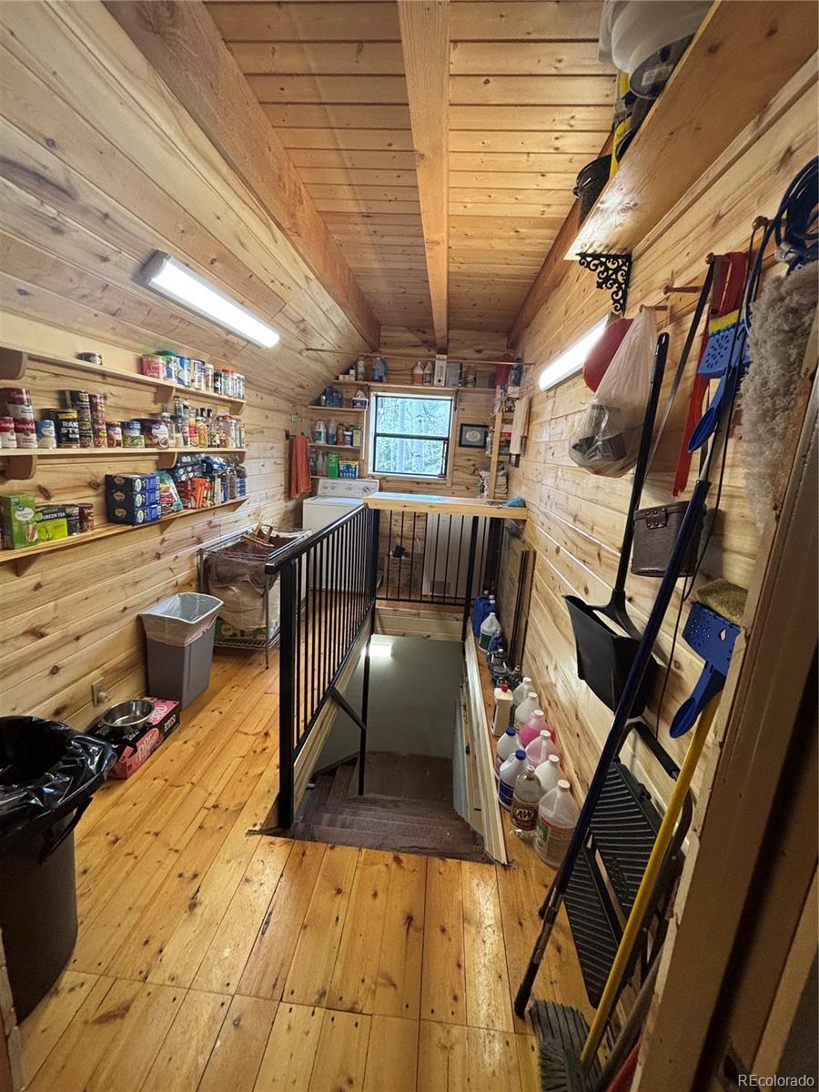 MLS Image #24 for 1113  spring street,jasper, Colorado