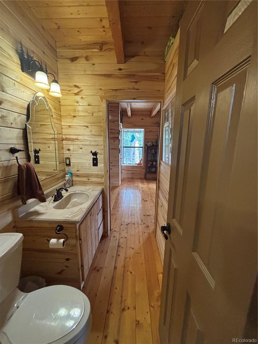 MLS Image #25 for 1113  spring street,jasper, Colorado