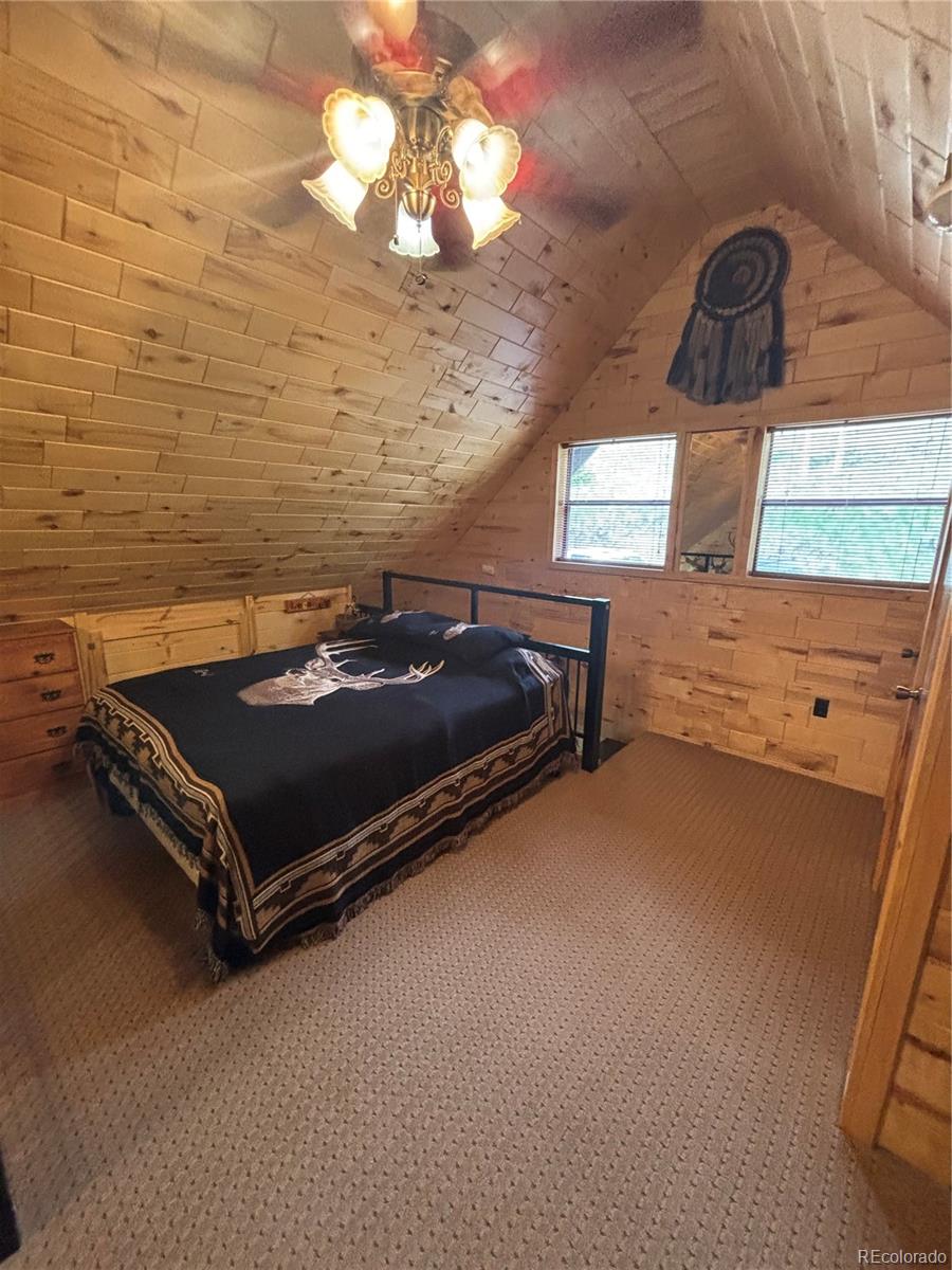 MLS Image #26 for 1113  spring street,jasper, Colorado