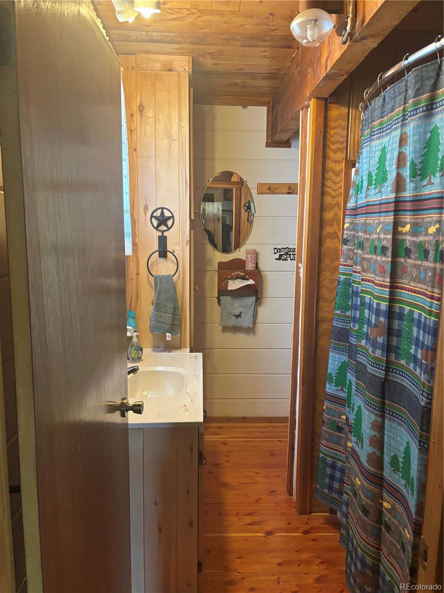 MLS Image #27 for 1113  spring street,jasper, Colorado