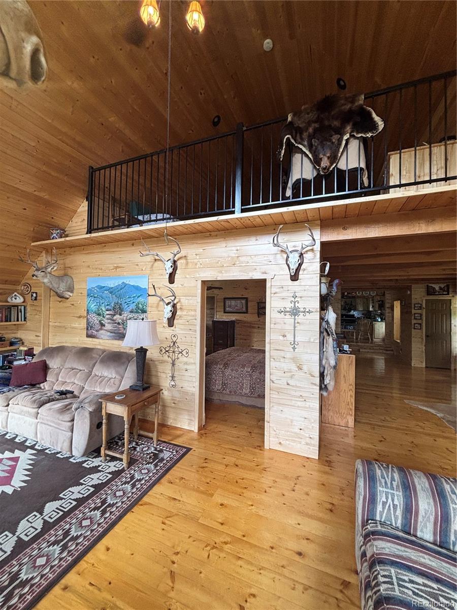 MLS Image #28 for 1113  spring street,jasper, Colorado