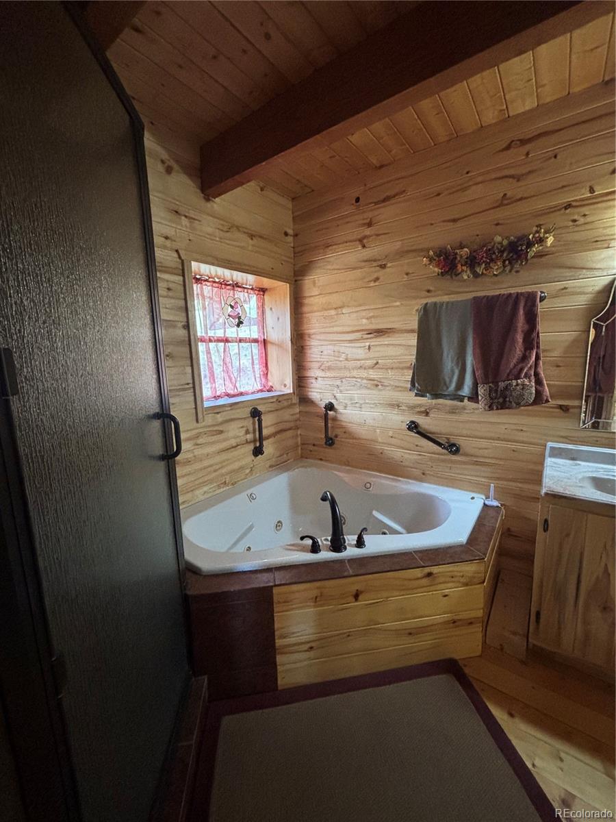 MLS Image #29 for 1113  spring street,jasper, Colorado