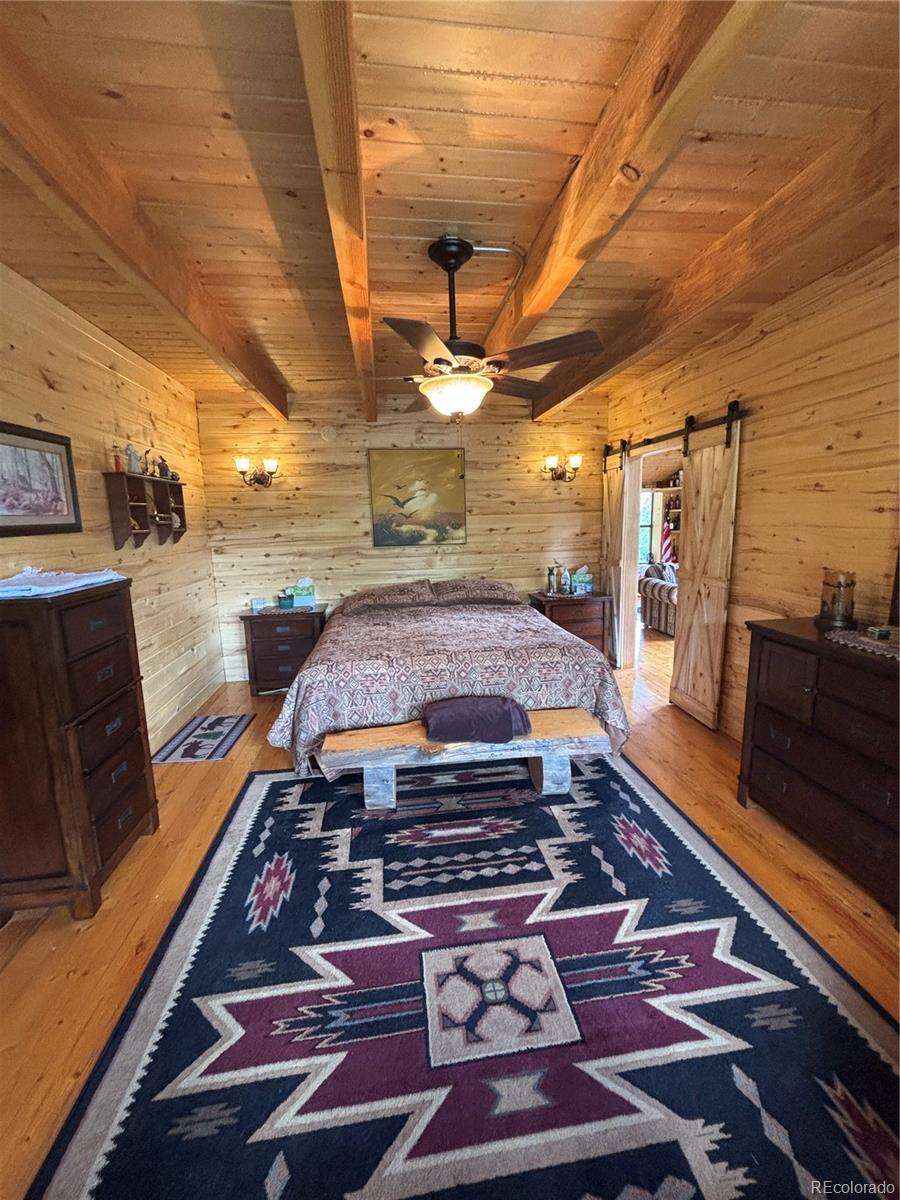 MLS Image #30 for 1113  spring street,jasper, Colorado