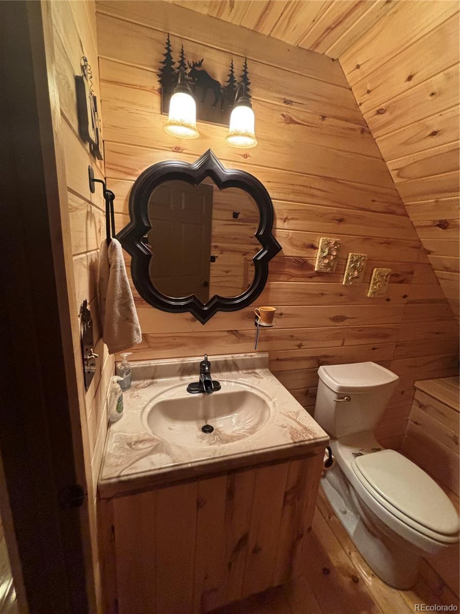 MLS Image #33 for 1113  spring street,jasper, Colorado
