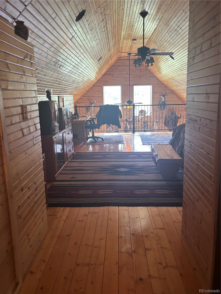 MLS Image #35 for 1113  spring street,jasper, Colorado