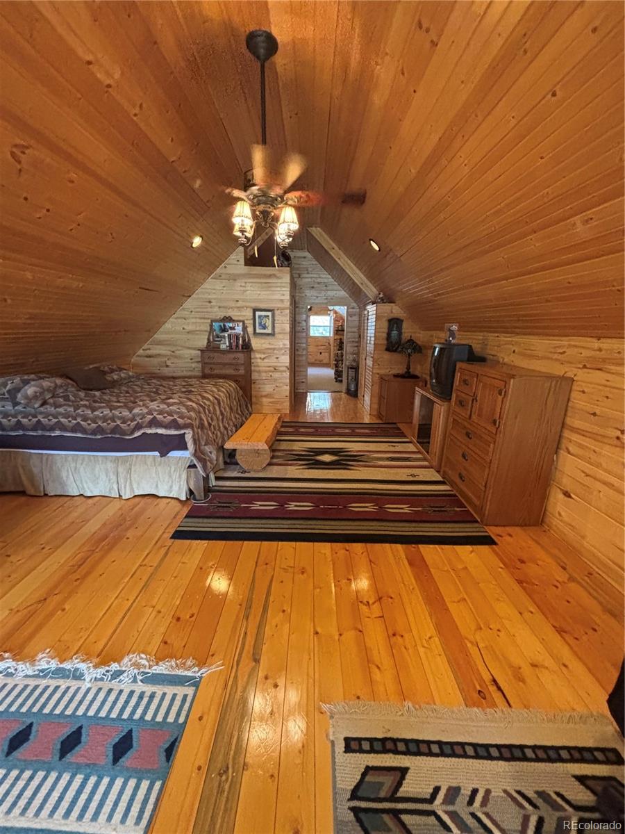 MLS Image #36 for 1113  spring street,jasper, Colorado