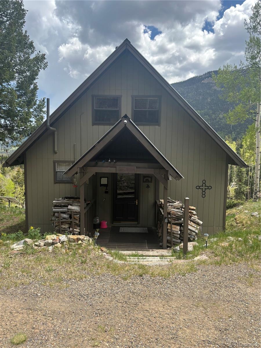 MLS Image #4 for 1113  spring street,jasper, Colorado