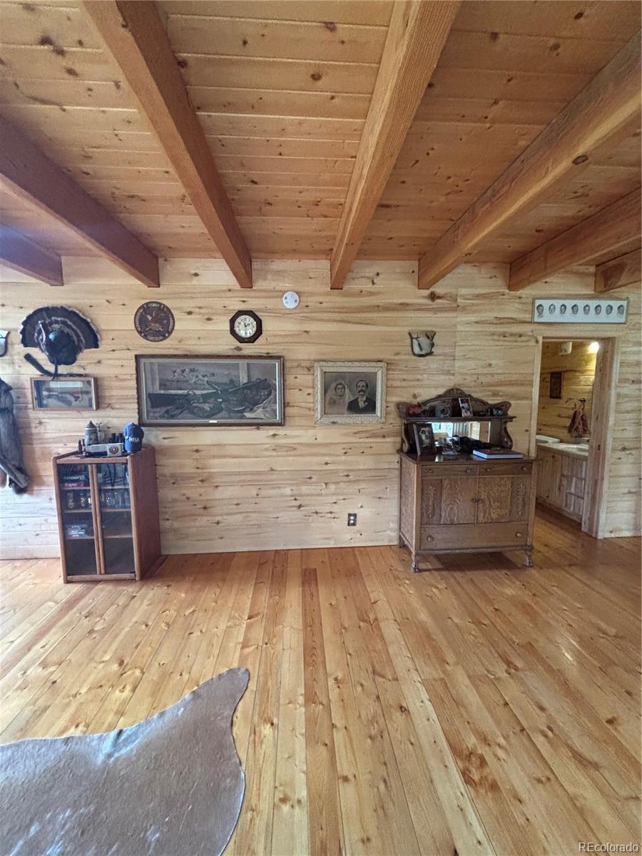 MLS Image #40 for 1113  spring street,jasper, Colorado
