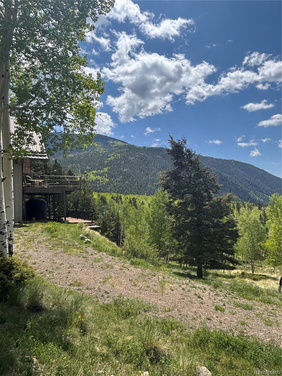 MLS Image #45 for 1113  spring street,jasper, Colorado